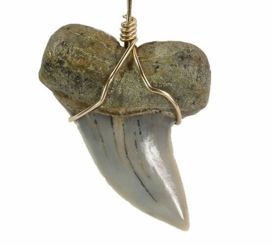 Fossil Mako Tooth Necklace - Bakersfield, California #95261
